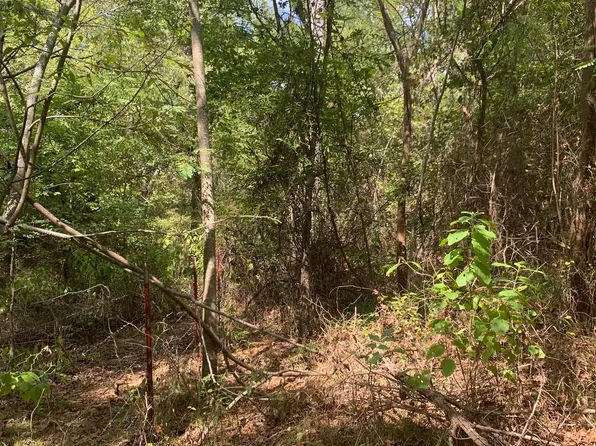 County Road 3906, Troup, TX 75789