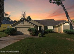 6097 Mountain Way Ave, Spring Hill, FL 34608