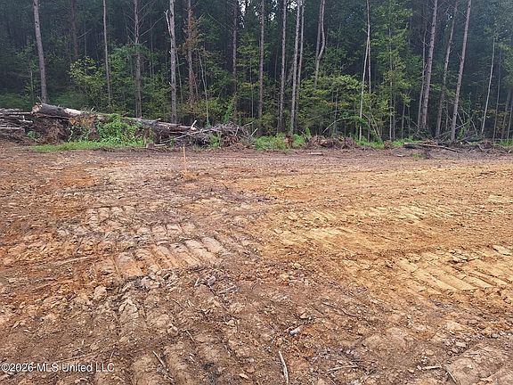 5th image of 709 Old Pinola Braxton Rd