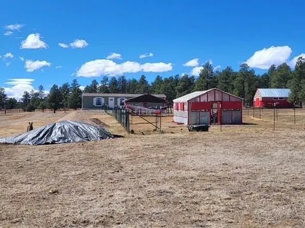 20106 Deer Path Cir Lot 60, Weston, CO 81091