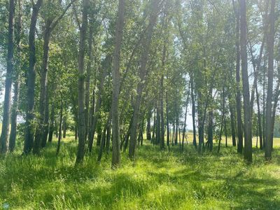 15353 100th St S, Barnesville, MN, 56514