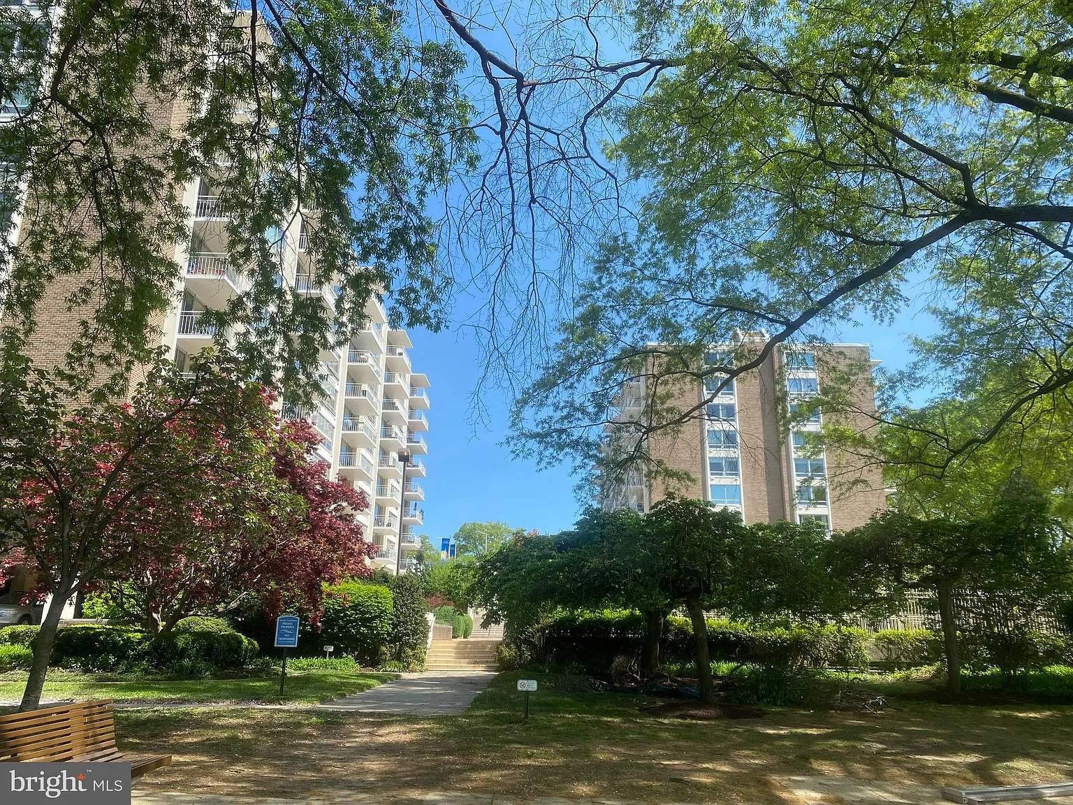 Studio, 446 sqft, $1,750 — Photo 1