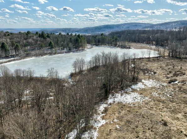  TBD Meadow Lane, Fremont Center, NY 12736