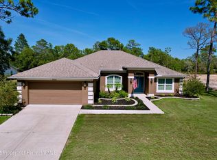 9152 Bunting Rd, Weeki Wachee, FL 34613