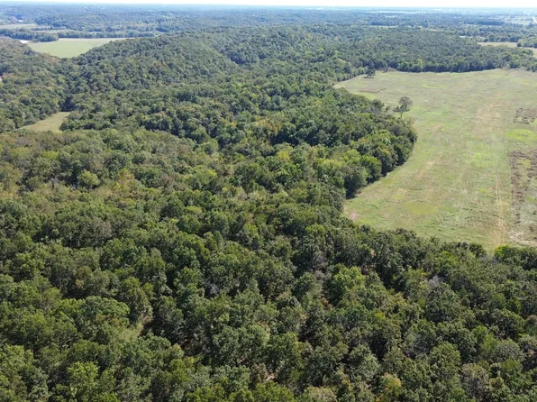 Highway 43, South West City, MO 64863