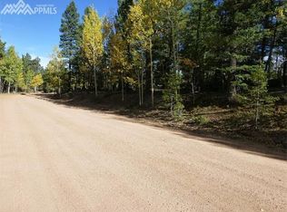 46 Viewcrest Way, Florissant, CO 80816