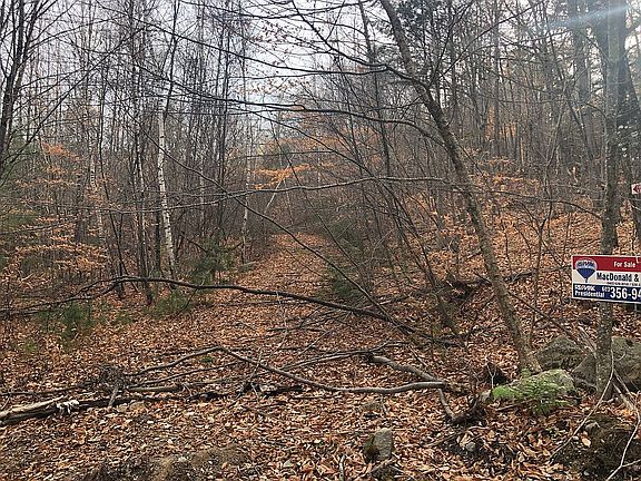 View of lot 113 - Fall