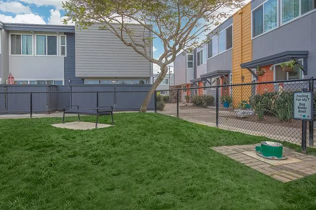 Loma Palisades — Photo 11