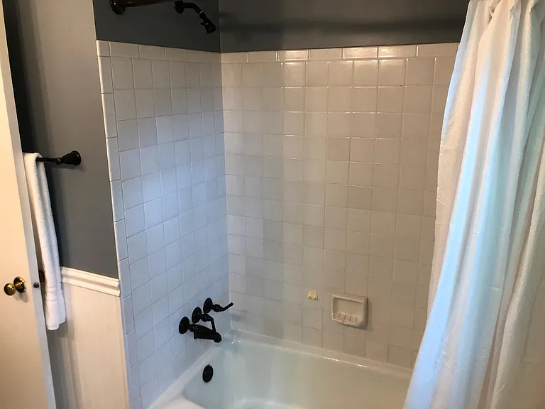 Main bath from toilet area