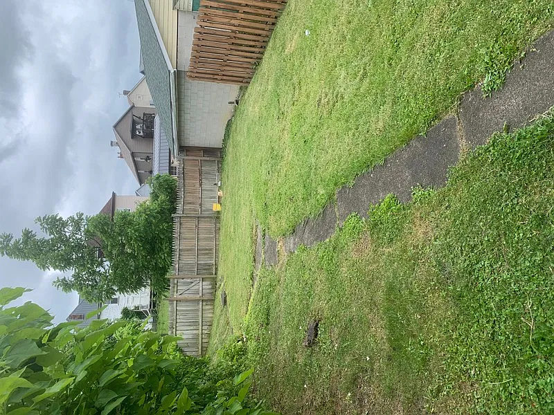 88 Millview Street — Photo 2