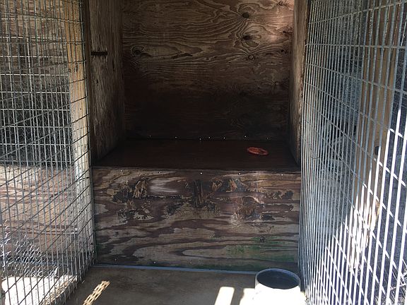 Dog Kennel