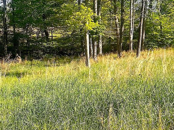 3rd image of Nixon Rd