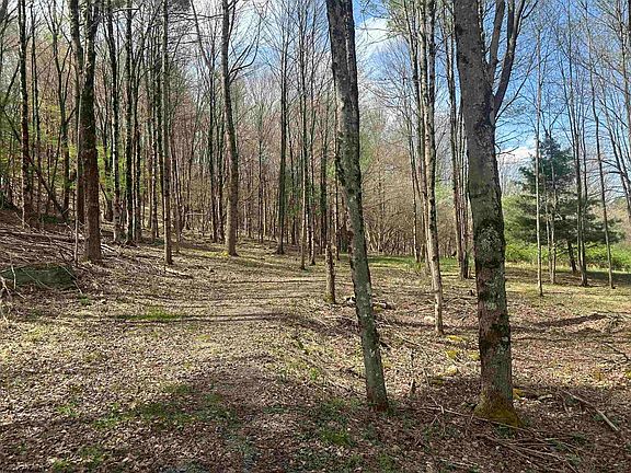 5th image of 2 Bonner Mountain Rd