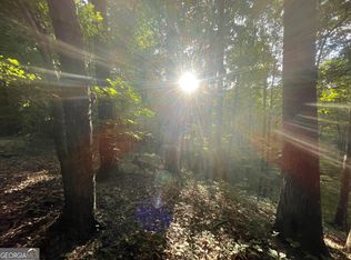 1218 Hilton Dr, Ranger, GA 30734