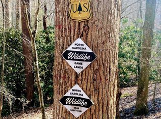 0 Fork Mountain Way, Candler, NC 28715