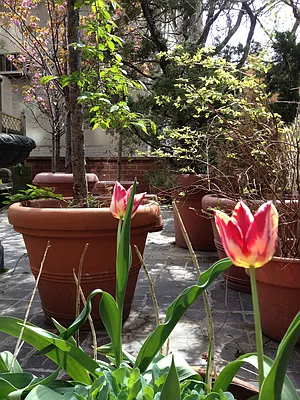 Rented by Brown Harris Stevens | media 11