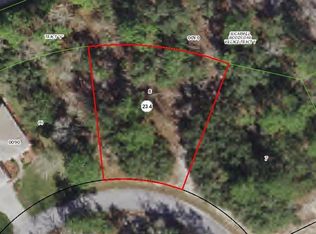 10 Chrysanthemum Ct, Homosassa, FL 34446