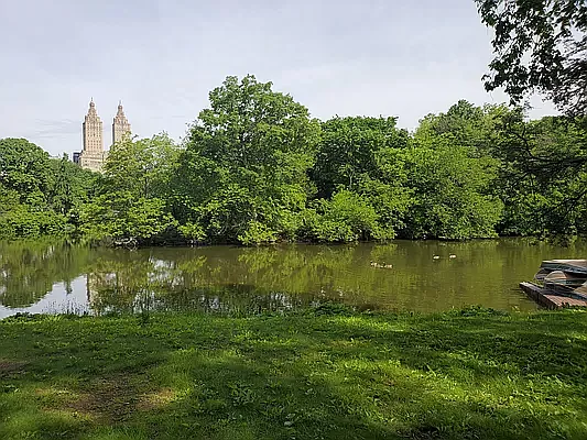 Rented by Bond New York | media 2