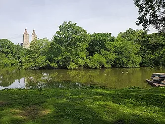 Rented by Bond New York