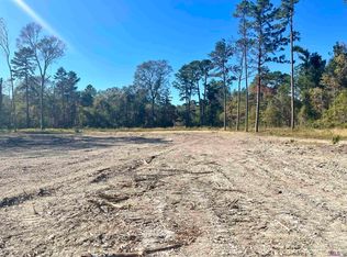 30491 Pasture Ln #1024, Denham Springs, LA 70706