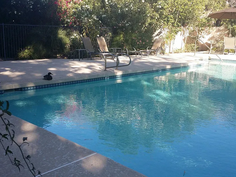 Community pool