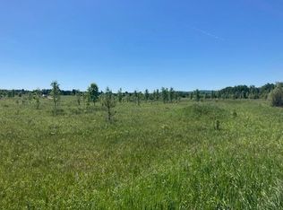 6766 Lora Bette Dr, Alanson, MI 49706