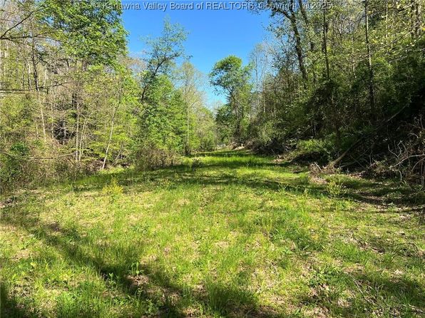 0 Upper Mud River Rd, Hamlin, WV 25523