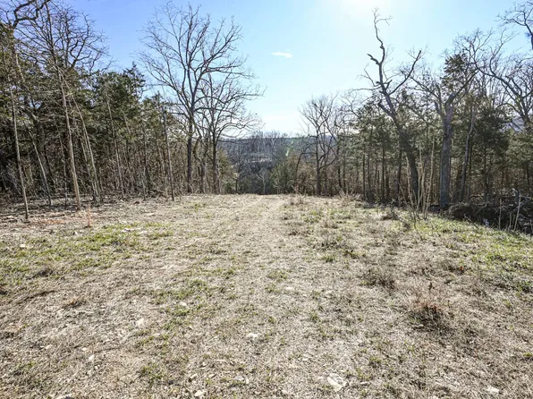 0 State Highway 176, Rockaway Beach, MO 65740