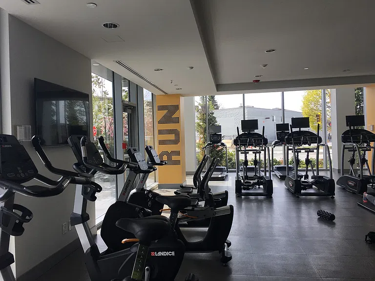 Gym with up-to-date equipment.