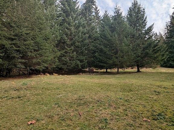 4th image of LOT 9 Mountain Rd