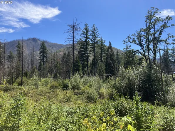 Blue River Dr, Blue River, OR 97413