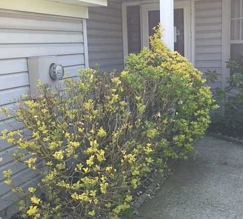2nd image of 5 Vandeventer Ct