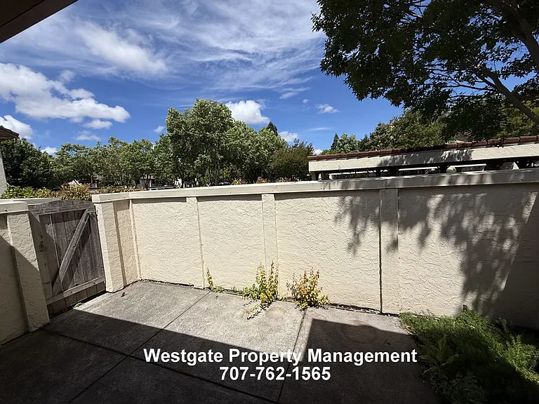 240 Park Place Dr — Photo 7