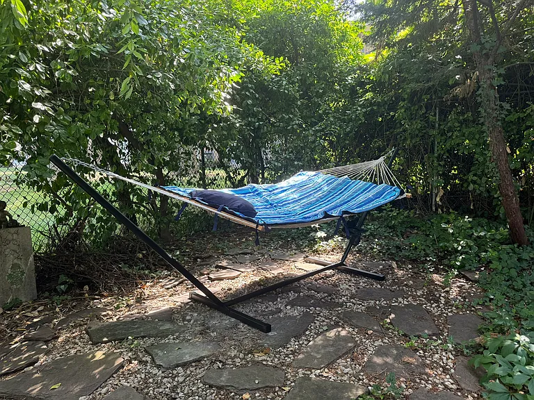 Back yard
