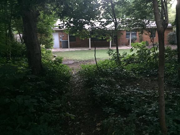 View of the backyard from the lush green forest