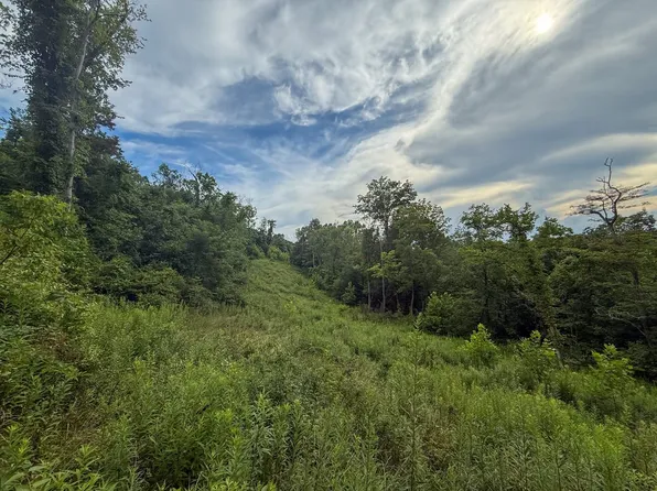 Sand Hill Rd, Bellaire, OH 43906