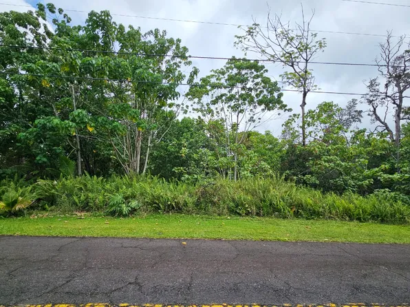 12-316 E Pohakupele Loop Lot 235, Pahoa, HI 96778