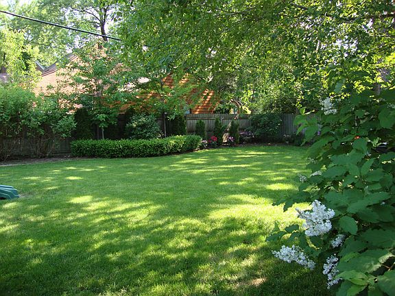 Double lot back yard