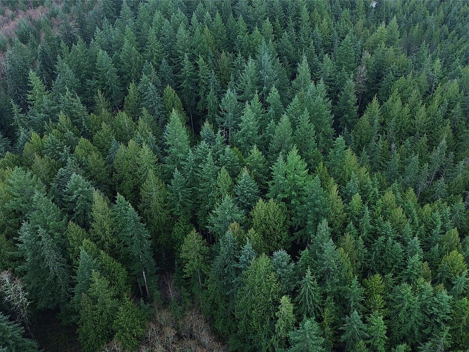 1st image of 17425 McElroy Road