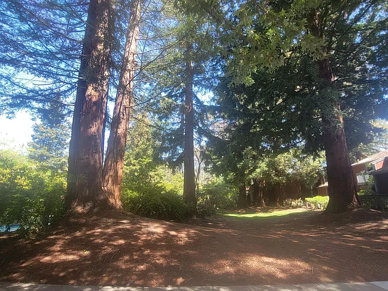 186 Central Ave — Photo 41
