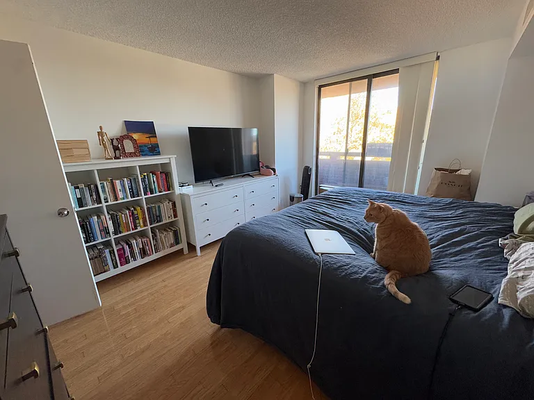 This picture is taken from the door to the walk-in closet. You can see the entrance to the balcony. Bed is king size for size reference.