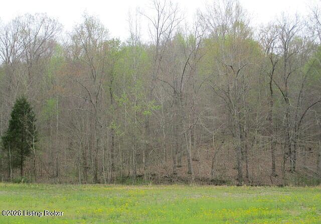 2nd image of 38 Sulphur Lick Rd