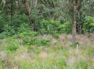 Blackburn Rd LOT 221, Pierson, FL 32180