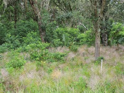 Blackburn Rd LOT 221, Pierson, FL, 32180