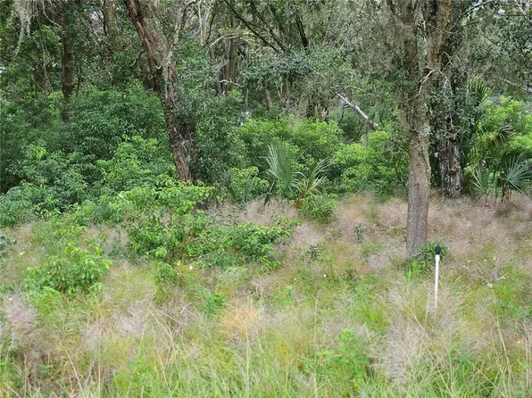 Blackburn Rd Lot 221, Pierson, FL 32180