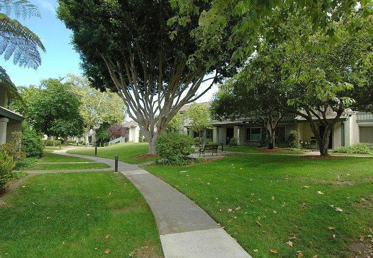 13074 Caminito Cristobal — Photo 42