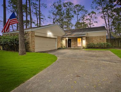 12003 Willow Branch Ct, Houston, TX, 77070
