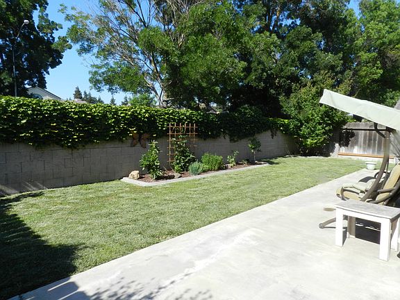 Backyard (towards northeast)