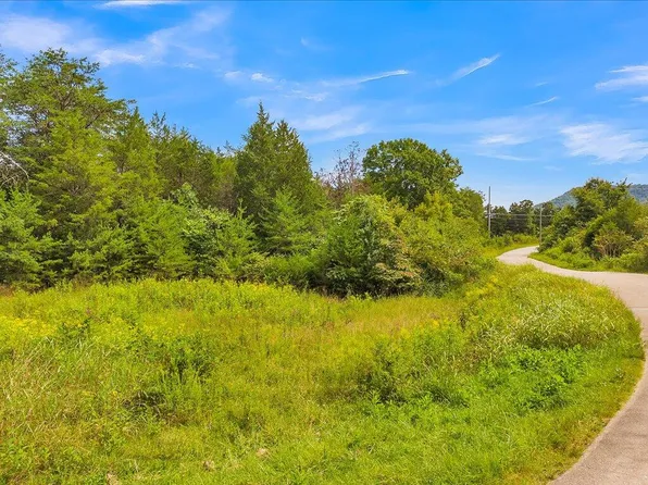 175 Miller Rd, Bean Station, TN 37708