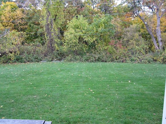 Outside Backyard